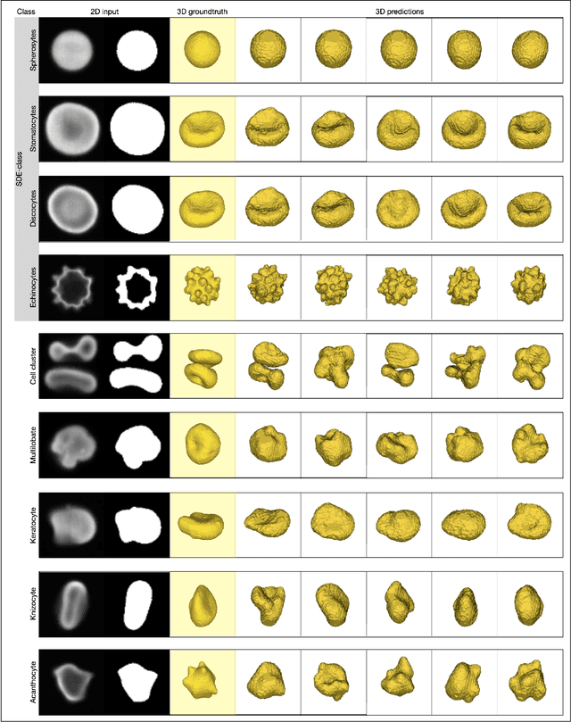 Figure 4 for A Diffusion Model Predicts 3D Shapes from 2D Microscopy Images