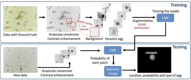 Figure 3 for Parasitic Egg Detection and Classification in Low-cost Microscopic Images using Transfer Learning