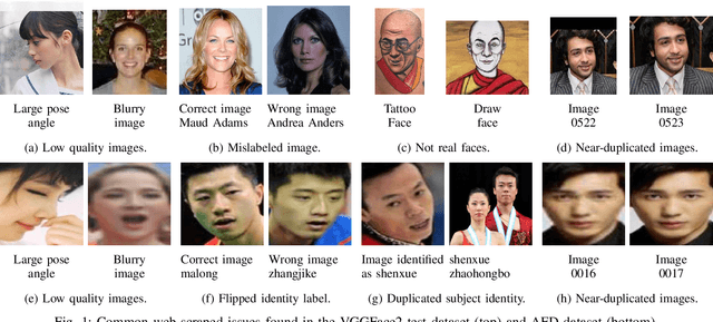 Figure 1 for A Method for Curation of Web-Scraped Face Image Datasets