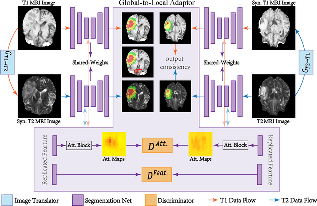 Figure 3 for Cross-Modality Brain Tumor Segmentation via Bidirectional Global-to-Local Unsupervised Domain Adaptation