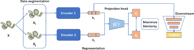 Figure 1 for 3D Intracranial Aneurysm Classification and Segmentation via Unsupervised Dual-branch Learning