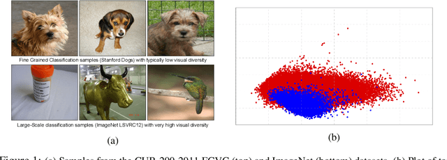 Figure 1 for Maximum-Entropy Fine-Grained Classification