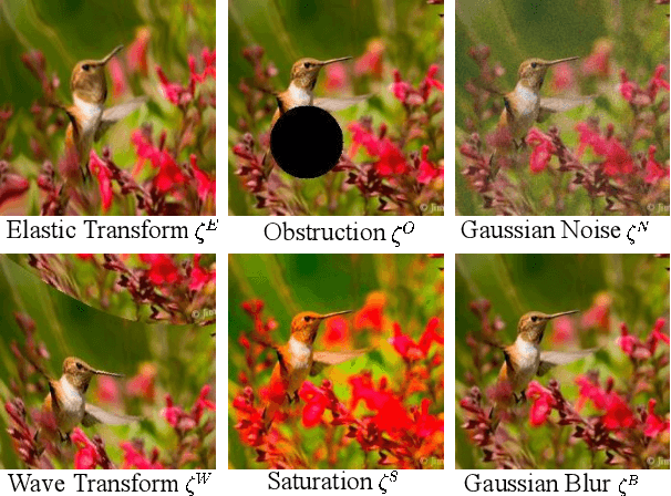 Figure 1 for Adversarial and Natural Perturbations for General Robustness