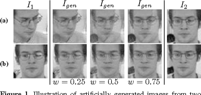 Figure 1 for Matching Image Sets via Adaptive Multi Convex Hull