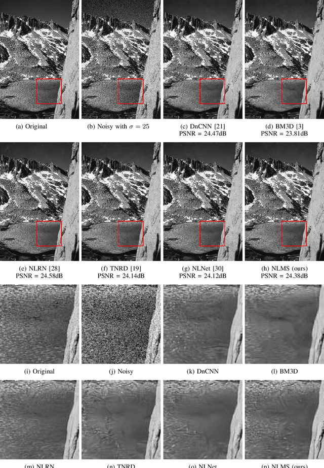 Figure 3 for Low-Weight and Learnable Image Denoising