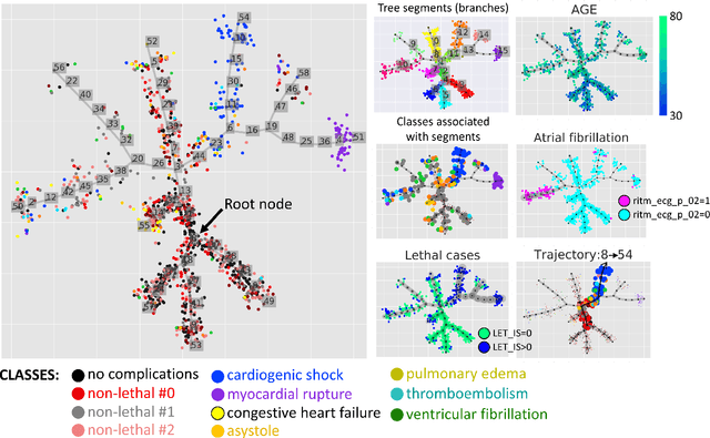 Figure 2 for Trajectories, bifurcations and pseudotime in large clinical datasets: applications to myocardial infarction and diabetes data