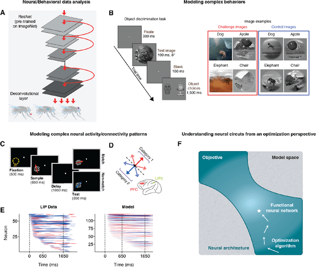 Figure 1 for Artificial neural networks for neuroscientists: A primer