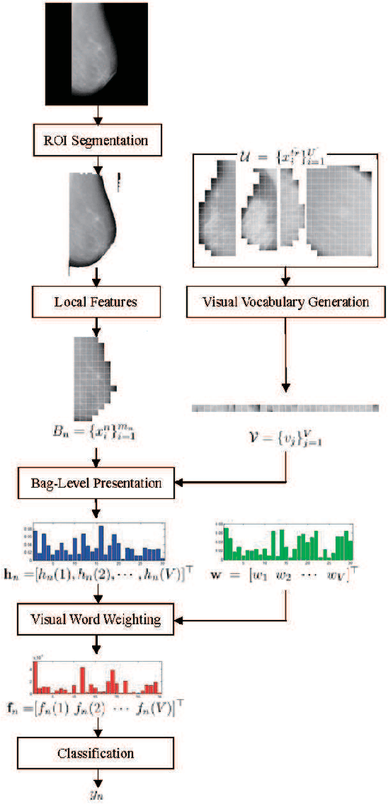 Figure 1 for Joint-ViVo: Selecting and Weighting Visual Words Jointly for Bag-of-Features based Tissue Classification in Medical Images