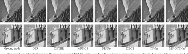 Figure 2 for Multi-Scale Deep Compressive Sensing Network