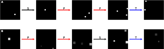 Figure 2 for A Number Sense as an Emergent Property of the Manipulating Brain