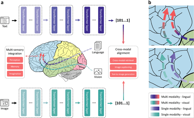 Figure 1 for Multimodal foundation models are better simulators of the human brain