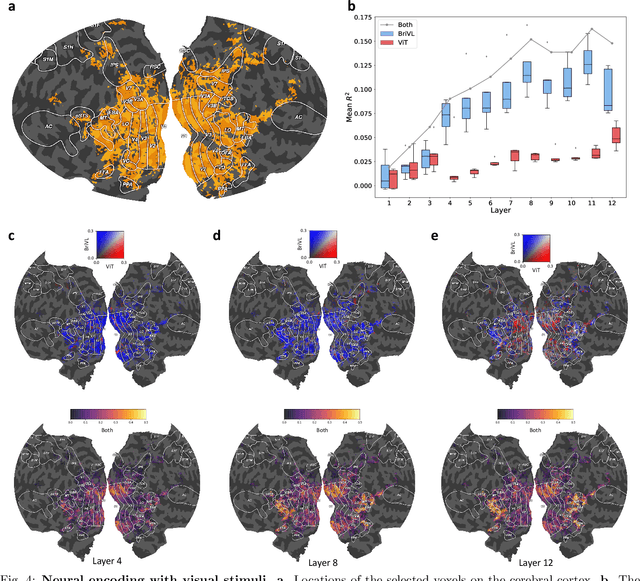 Figure 4 for Multimodal foundation models are better simulators of the human brain