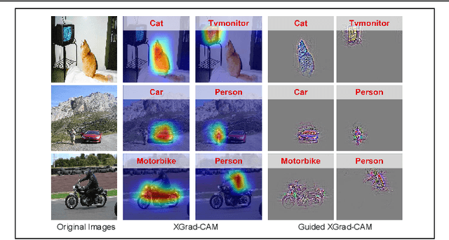 Figure 1 for Axiom-based Grad-CAM: Towards Accurate Visualization and Explanation of CNNs