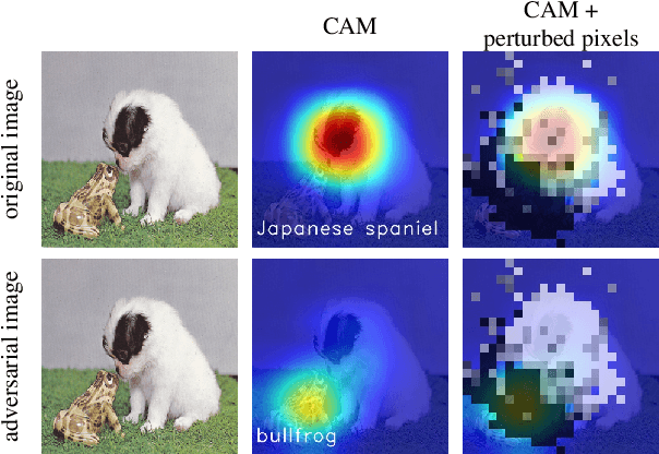 Figure 1 for Interpreting Adversarial Examples by Activation Promotion and Suppression