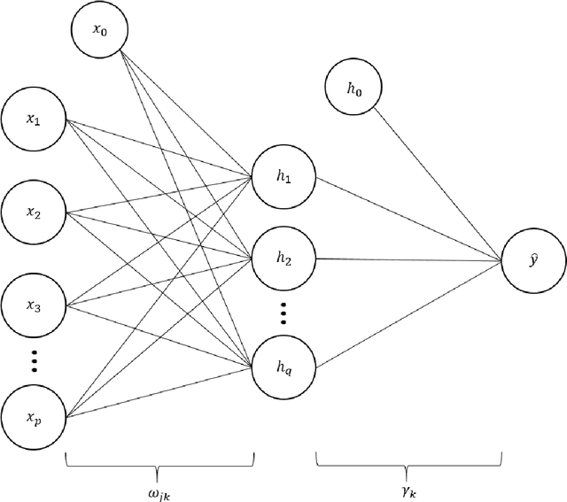 Figure 1 for A Statistically-Based Approach to Feedforward Neural Network Model Selection
