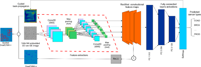 Figure 1 for OncoNetExplainer: Explainable Predictions of Cancer Types Based on Gene Expression Data