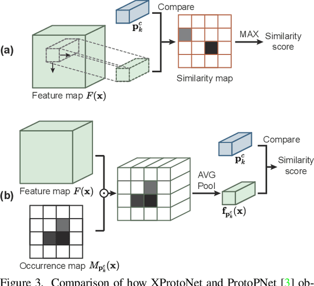 Figure 3 for XProtoNet: Diagnosis in Chest Radiography with Global and Local Explanations