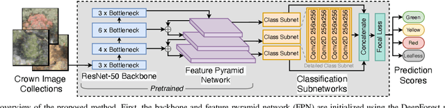 Figure 2 for Classification of Bark Beetle-Induced Forest Tree Mortality using Deep Learning