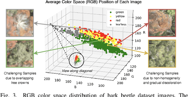 Figure 3 for Classification of Bark Beetle-Induced Forest Tree Mortality using Deep Learning