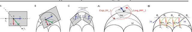 Figure 2 for Approximate Bayesian inference as a gauge theory
