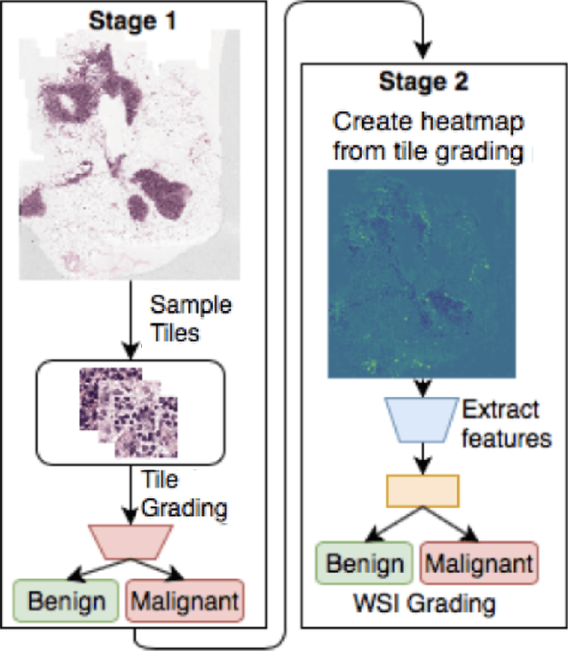 Figure 1 for TriResNet: A Deep Triple-stream Residual Network for Histopathology Grading