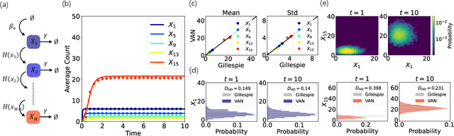 Figure 4 for Neural-network solutions to stochastic reaction networks