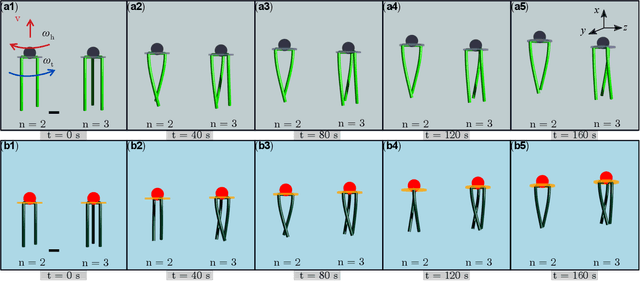 Figure 1 for Mechanics-based Analysis on Flagellated Robots