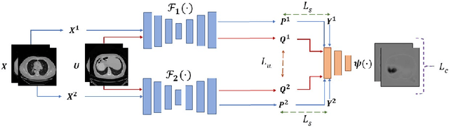 Figure 1 for Duo-SegNet: Adversarial Dual-Views for Semi-Supervised Medical Image Segmentation