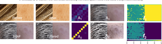 Figure 3 for One-shot Detail Retouching with Patch Space Neural Field based Transformation Blending