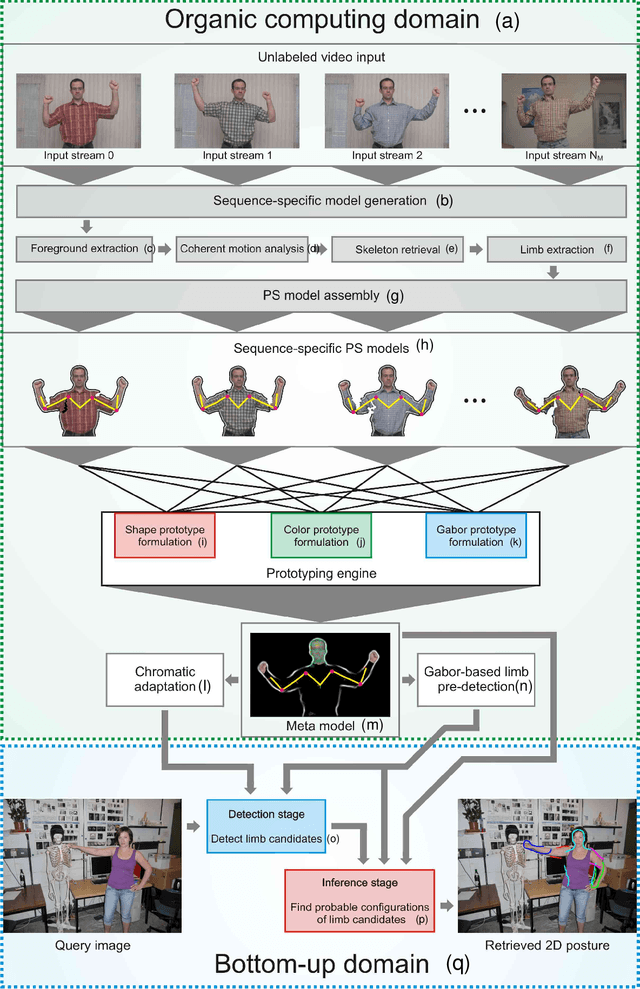 Figure 1 for Unsupervised Construction of Human Body Models Using Principles of Organic Computing
