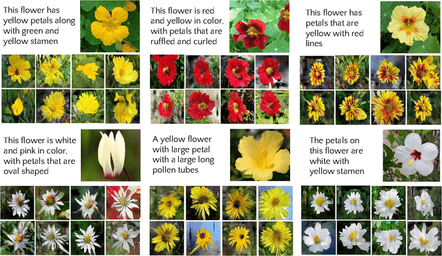 Figure 4 for TAC-GAN - Text Conditioned Auxiliary Classifier Generative Adversarial Network