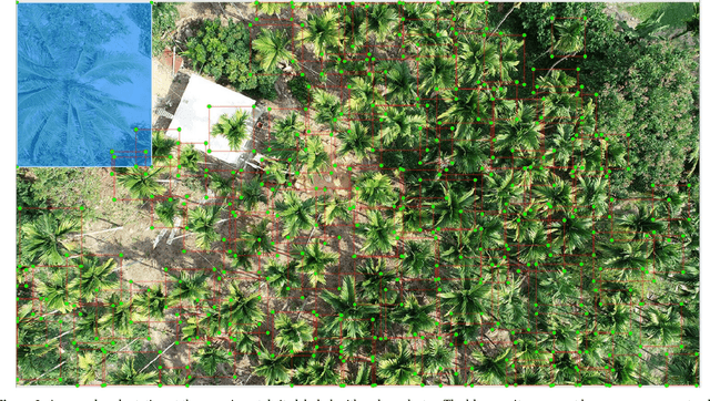 Figure 3 for A Real-time Low-cost Artificial Intelligence System for Autonomous Spraying in Palm Plantations