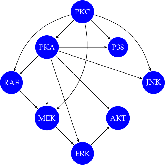 Figure 2 for Bayesian Networks based Hybrid Quantum-Classical Machine Learning Approach to Elucidate Gene Regulatory Pathways