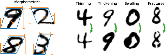 Figure 1 for Morpho-MNIST: Quantitative Assessment and Diagnostics for Representation Learning