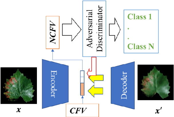 Figure 2 for Achieving Explainability for Plant Disease Classification with Disentangled Variational Autoencoders
