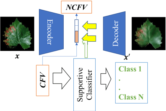 Figure 3 for Achieving Explainability for Plant Disease Classification with Disentangled Variational Autoencoders