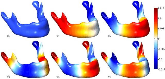 Figure 4 for Unified Heat Kernel Regression for Diffusion, Kernel Smoothing and Wavelets on Manifolds and Its Application to Mandible Growth Modeling in CT Images