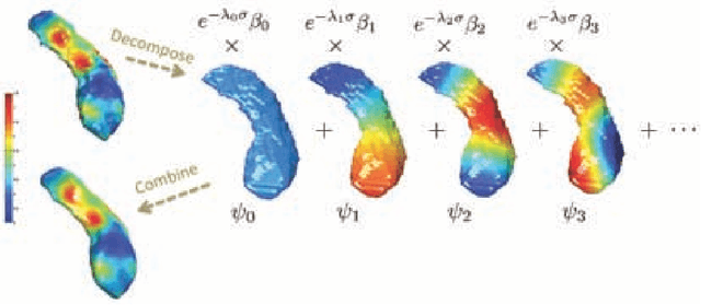 Figure 2 for Unified Heat Kernel Regression for Diffusion, Kernel Smoothing and Wavelets on Manifolds and Its Application to Mandible Growth Modeling in CT Images