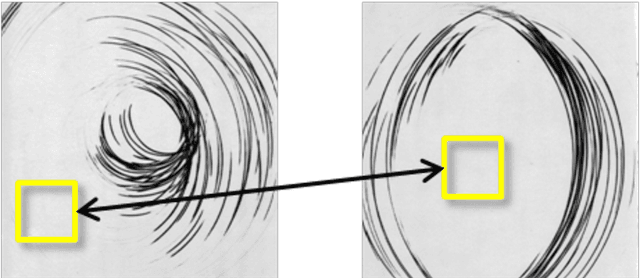 Figure 3 for Heterogeneous patterns enhancing static and dynamic texture classification