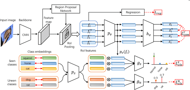 Figure 3 for Semantics-Guided Contrastive Network for Zero-Shot Object detection