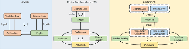 Figure 1 for RelativeNAS: Relative Neural Architecture Search via Slow-Fast Learning