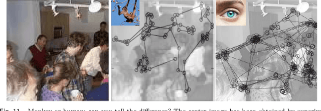 Figure 3 for A probabilistic tour of visual attention and gaze shift computational models