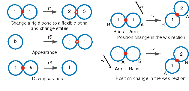 Figure 2 for Parallel computation using active self-assembly