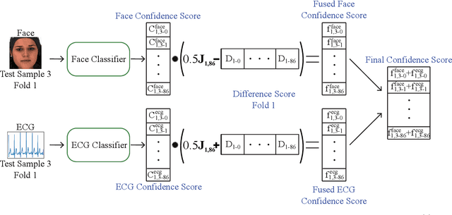 Figure 3 for Hybrid Score- and Rank-level Fusion for Person Identification using Face and ECG Data