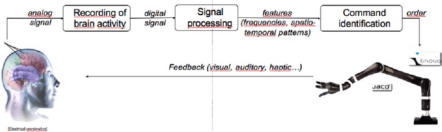 Figure 1 for From the decoding of cortical activities to the control of a JACO robotic arm: a whole processing chain