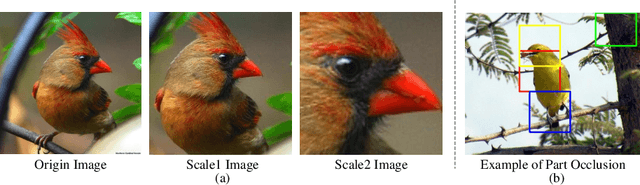 Figure 3 for REAPS: Towards Better Recognition of Fine-grained Images by Region Attending and Part Sequencing