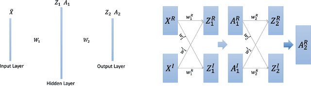 Figure 2 for Neural network is heterogeneous: Phase matters more