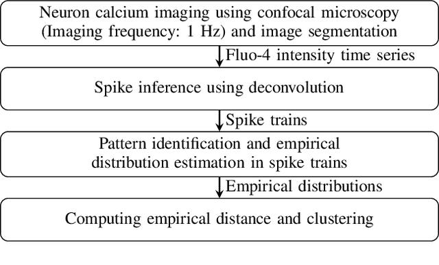 Figure 2 for Heterogeneity in Neuronal Calcium Spike Trains based on Empirical Distance