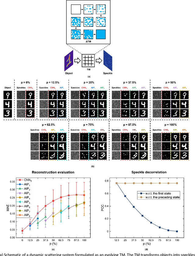 Figure 2 for Adaptive Inverse Mapping: A Model-free Semi-supervised Learning Approach towards Robust Imaging through Dynamic Scattering Media