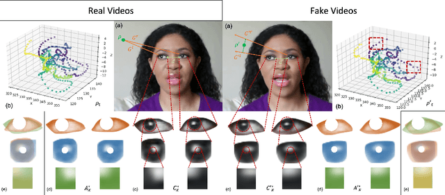 Figure 3 for Where Do Deep Fakes Look? Synthetic Face Detection via Gaze Tracking